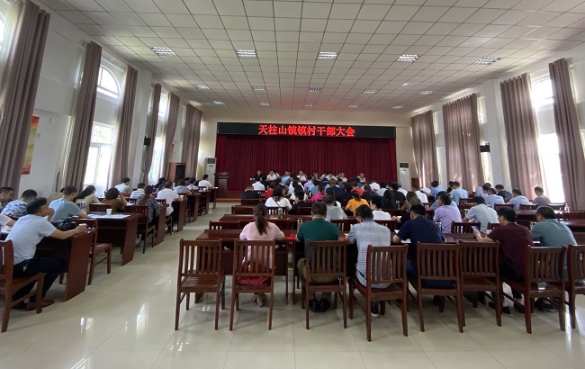 35镇村干部大会.jpg