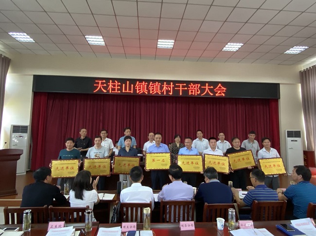 35表彰1.jpg