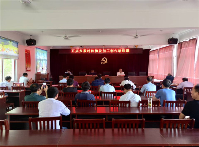 6`V1IRQEPMY{[%GQEUK2SF6_副本.jpg
