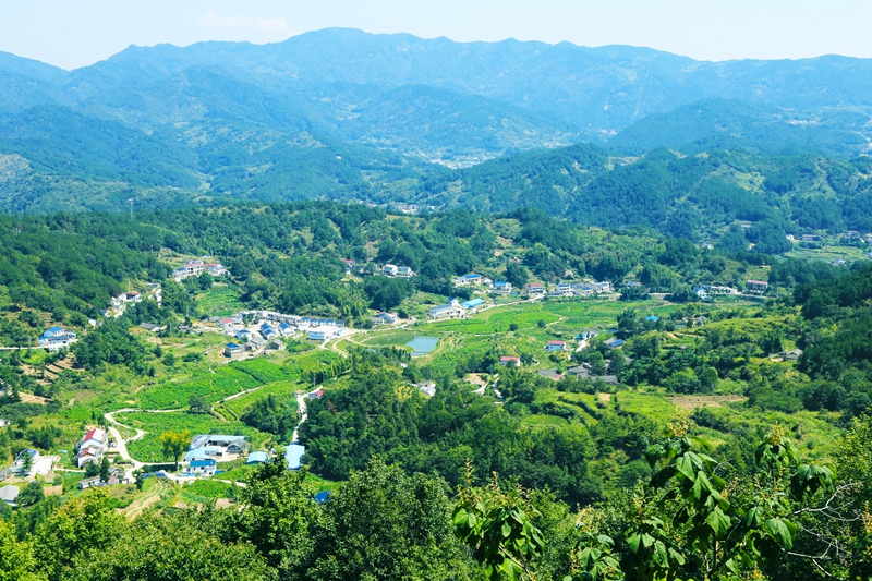 文化产业园全景.JPG