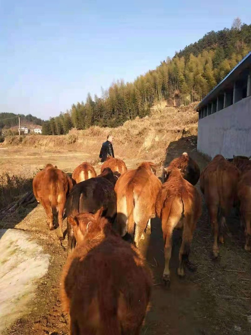 微信图片_20201222171938.jpg
