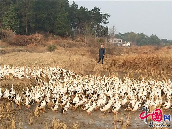 少时诵诗书.jpg