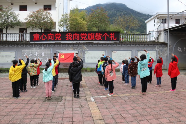 向党旗敬礼.jpg