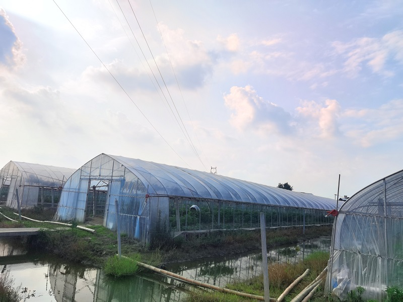 QQ图片20210603162604.jpg